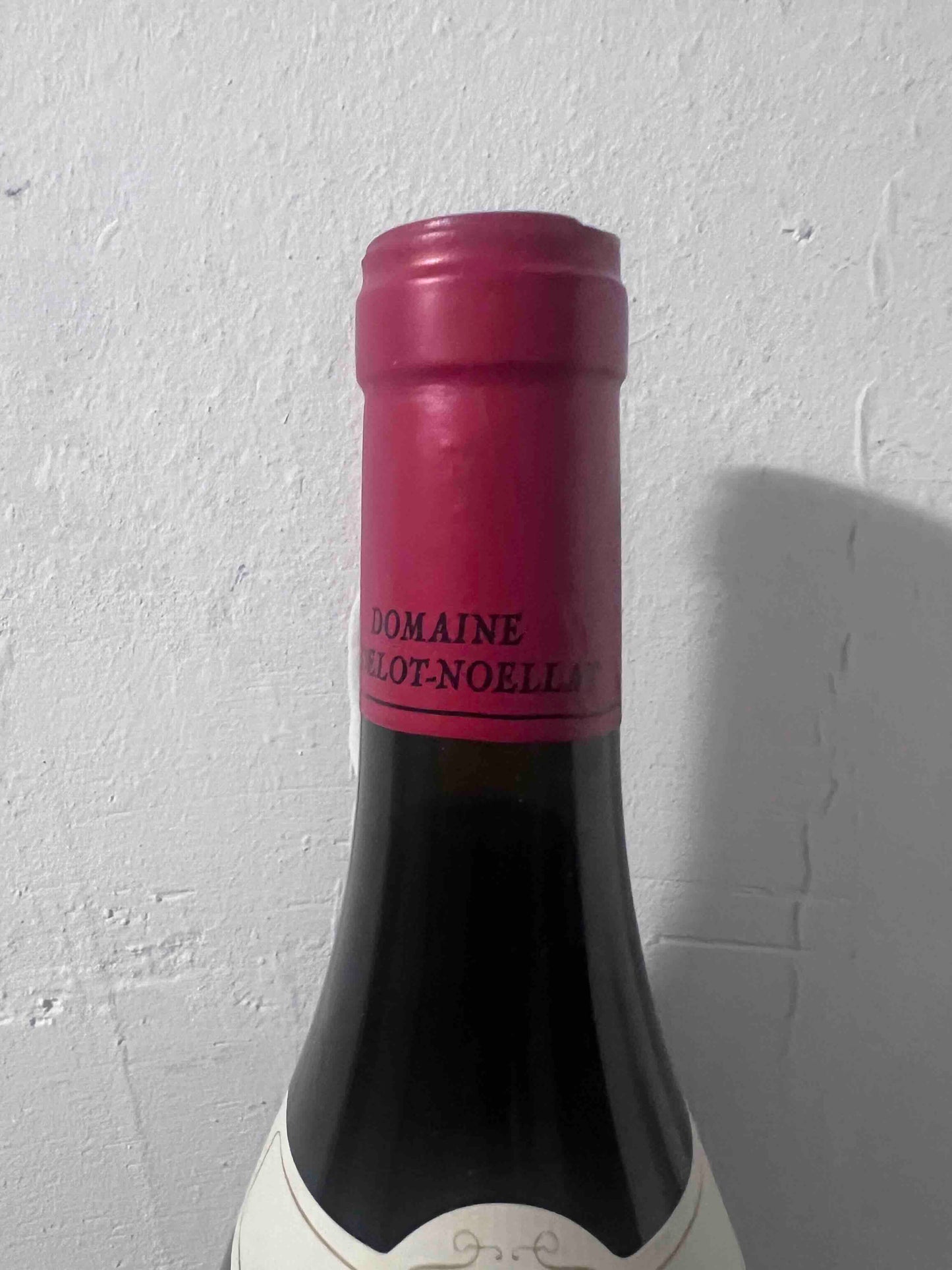 Alain Hudelot-Noëllat Vosne-Romanée 1er Cru "Les Suchots" 2018